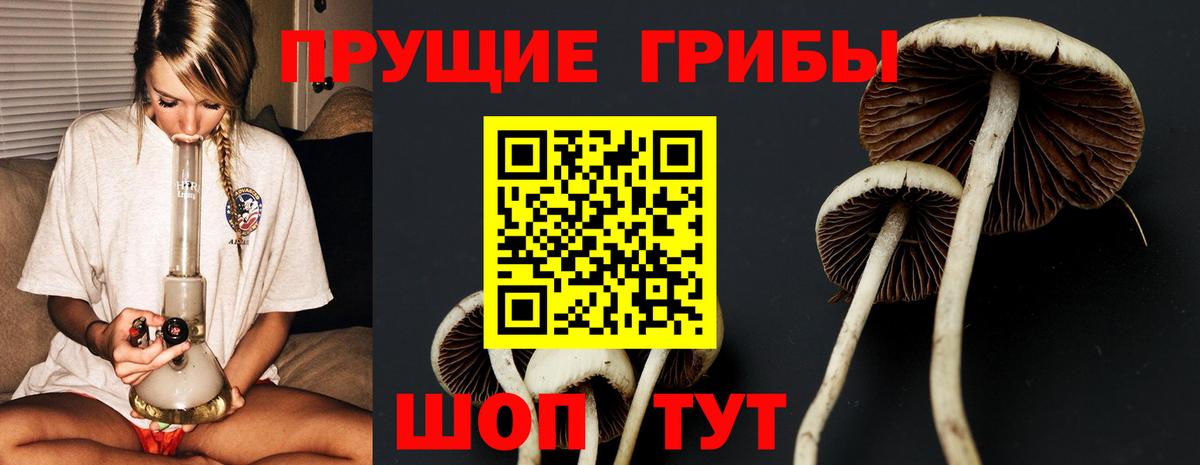Галлюциногенные грибы Psilocybe  Галлюциногенные грибы MAGIC MUSHROOMS  Вязники  Вход с VPN 